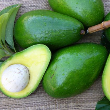 Indian Avocado